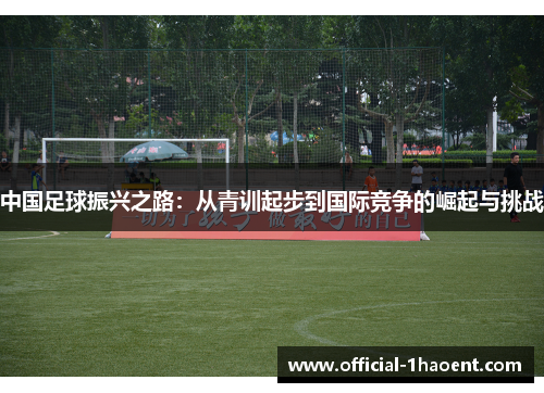 中国足球振兴之路：从青训起步到国际竞争的崛起与挑战