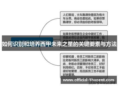 如何识别和培养西甲未来之星的关键要素与方法