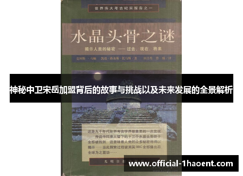 神秘中卫宋岳加盟背后的故事与挑战以及未来发展的全景解析