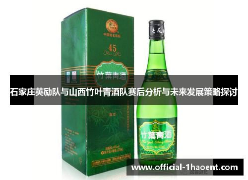 石家庄英励队与山西竹叶青酒队赛后分析与未来发展策略探讨