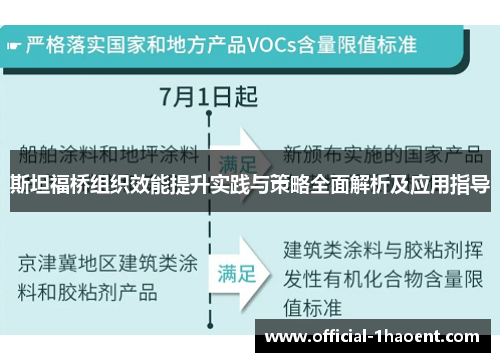 斯坦福桥组织效能提升实践与策略全面解析及应用指导
