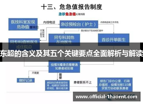 东超的含义及其五个关键要点全面解析与解读 东超的含义及其五个关键要点全面解析与解读