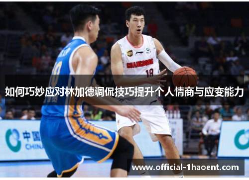 如何巧妙应对林加德调侃技巧提升个人情商与应变能力